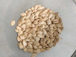 pumpkin seeds