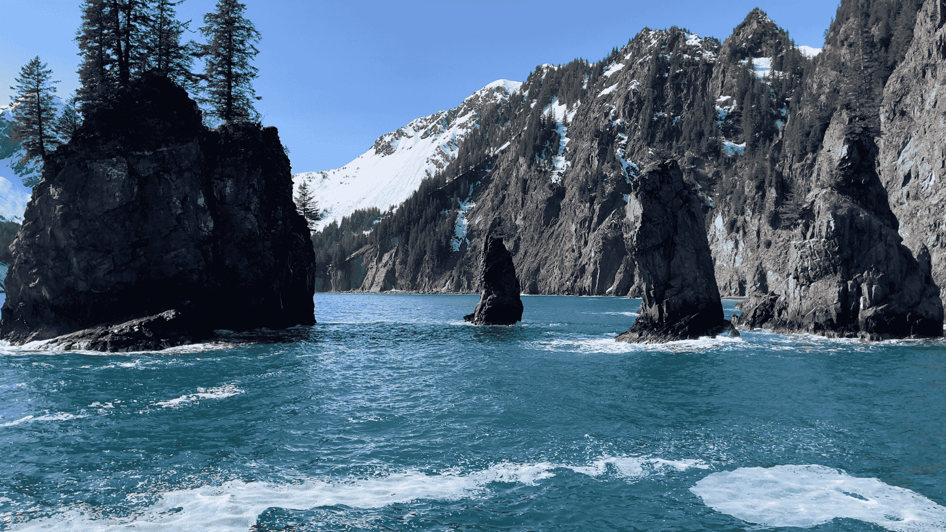Alaska wildlife cruise