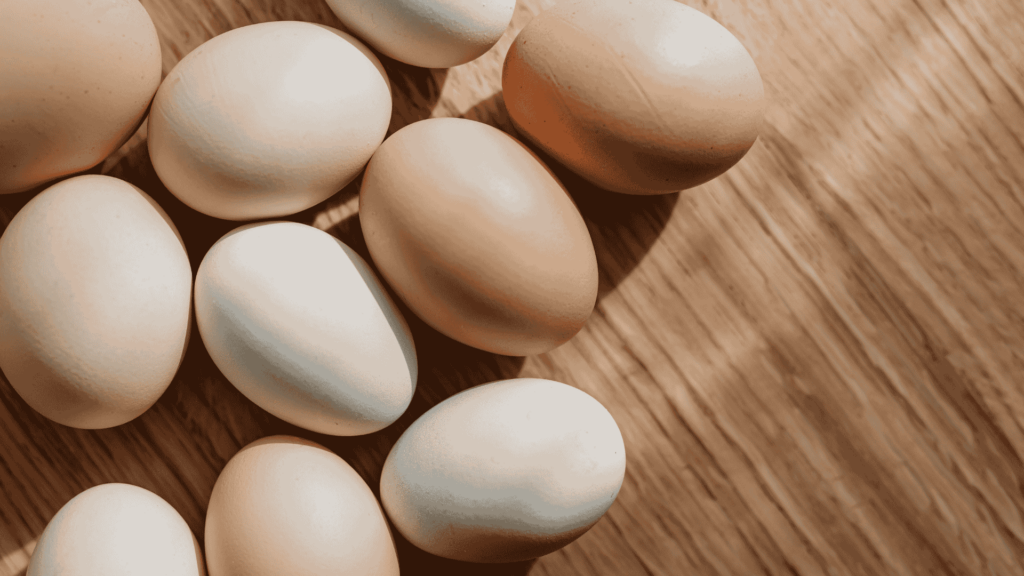 high-protein meals