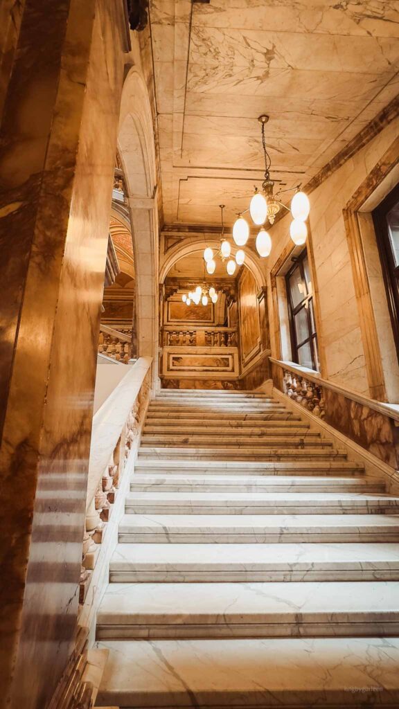 travel - hng by gurleen